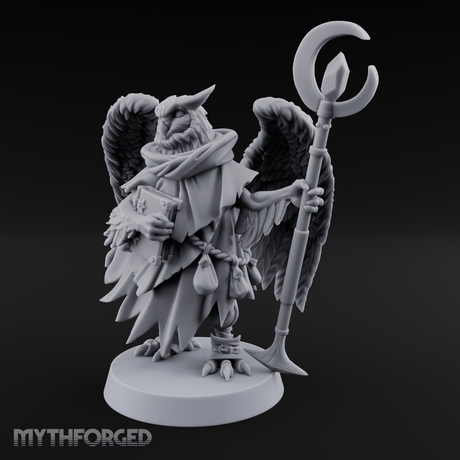 Scrolls Clutching Aarakocra Wizard Miniature for Dungeons and Dragons, Pathfinder or other TTRPGs