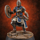Mismatched Armoury, Matching Resolve Human Knight D — painted concept preview (miniature supplied unpainted)