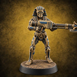 Sandstorm Protocol Warforged Scarab Soldier C — painted concept preview (miniature supplied unpainted)