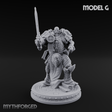 The Unseeing Holy Paladin Order G Miniature for Dungeons and Dragons, Pathfinder or other TTRPGs