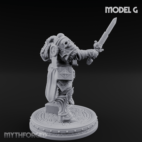 The Unseeing Holy Paladin Order G Miniature for Dungeons and Dragons, Pathfinder or other TTRPGs