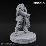 The Unseeing Holy Paladin Order O Miniature for Dungeons and Dragons, Pathfinder or other TTRPGs
