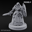 The Unseeing Holy Paladin Order P Miniature for Dungeons and Dragons, Pathfinder or other TTRPGs