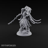 Haunting the Shrine Ruins Wraith C