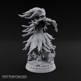 Haunting the Shrine Ruins Wraith D