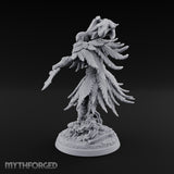 Haunting the Shrine Ruins Wraith D