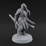 Dual Blades Pensive Elf Fighter