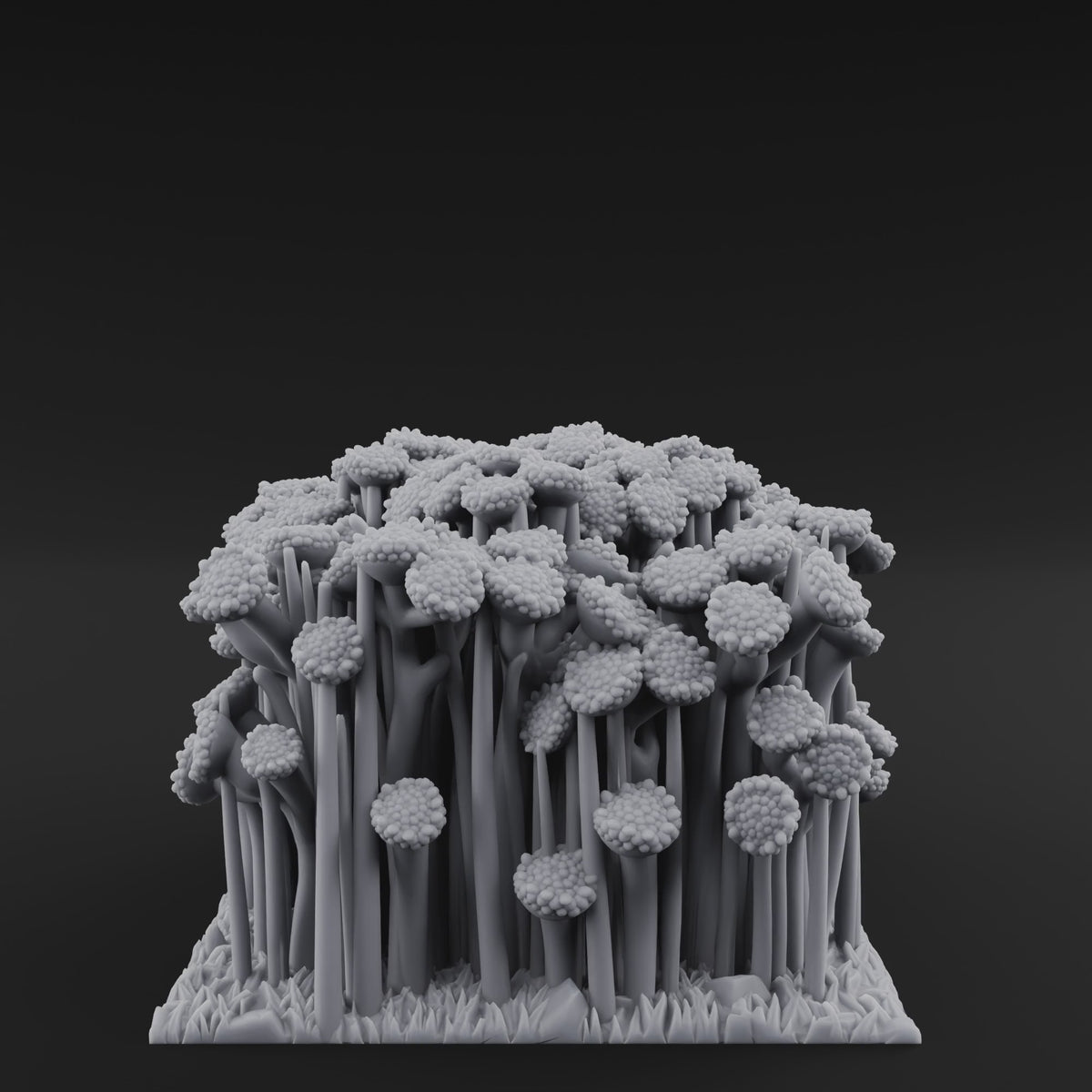 Cultivated Wildflower Meadows E