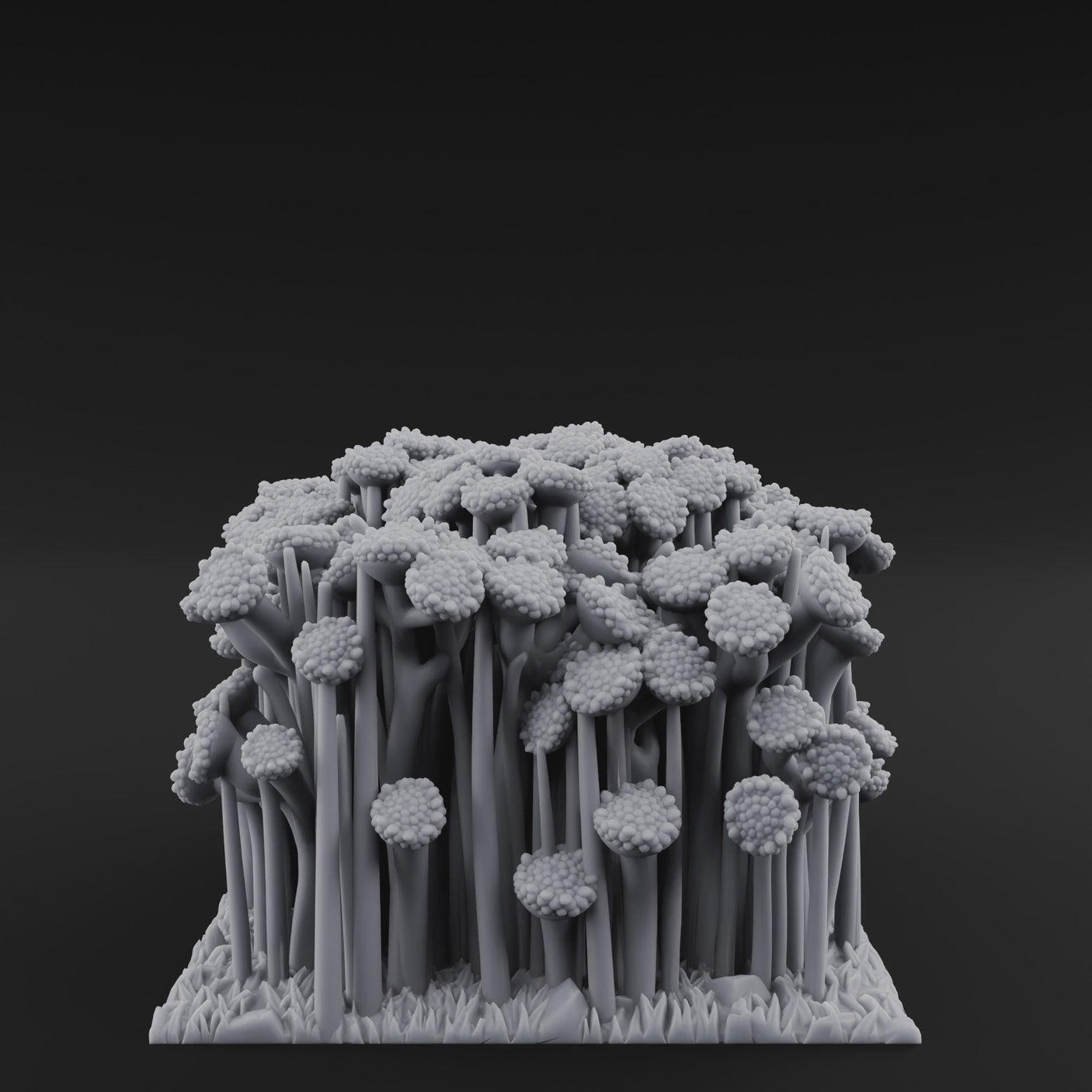 Cultivated Wildflower Meadows E