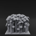 Cultivated Wildflower Meadows E