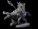Surprise Dwarf Drake Rider D