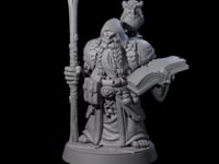 Wise Travelling Dwarf Seer