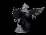 Regal Royal Griffon