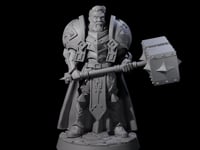 Resolute Court Paladin