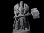 Resolute Court Paladin