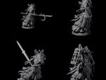 Four Roaming Darvakkas