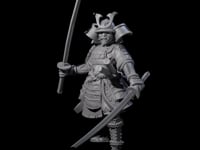 Duel Sword Wielding Samurai