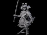 Duel Sword Wielding Samurai