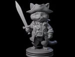 Cute Pirate Kitty D