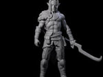 Dangerous Elf Barbarian
