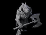 Stocky Dragonborn Barbarian