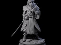 Wary Elf Traveller