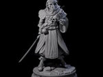 Wary Elf Traveller