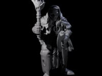Fevered Zealot G