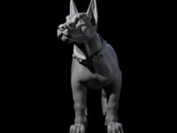 Inquisitive Dog A
