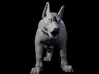 Inquisitive Dog D