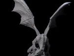 Unfurled Silver Dragon