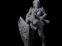 Heavy Shield Fighter