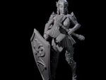 Heavy Shield Fighter