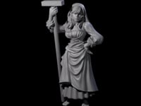 Sarcastic Washerwoman
