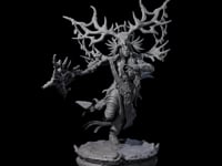 Ancient Dark Elf Druid of the Underdark A
