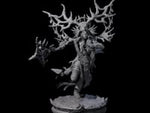 Ancient Dark Elf Druid of the Underdark A