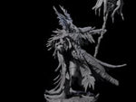 Ancient Dark Elf Druid of the Underdark D