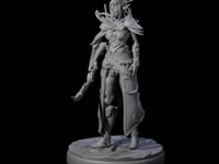 Cloaked Dark Elf Assassin F