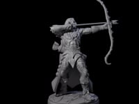 Cunning Dark Elf Archer F