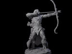 Cunning Dark Elf Archer F