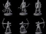 Cunning Dark Elf Archer Company