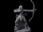 Cunning Dark Elf Archer E