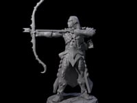 Cunning Dark Elf Archer D