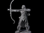 Cunning Dark Elf Archer D