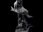 Feral Raven Druid B
