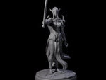 Masked Dark Elf Rogue B