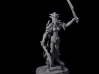 Masked Dark Elf Rogue Commander