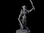 Masked Dark Elf Rogue Commander