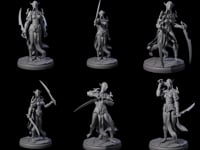 Masked Dark Elf Rogue Company