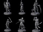 Masked Dark Elf Rogue Company